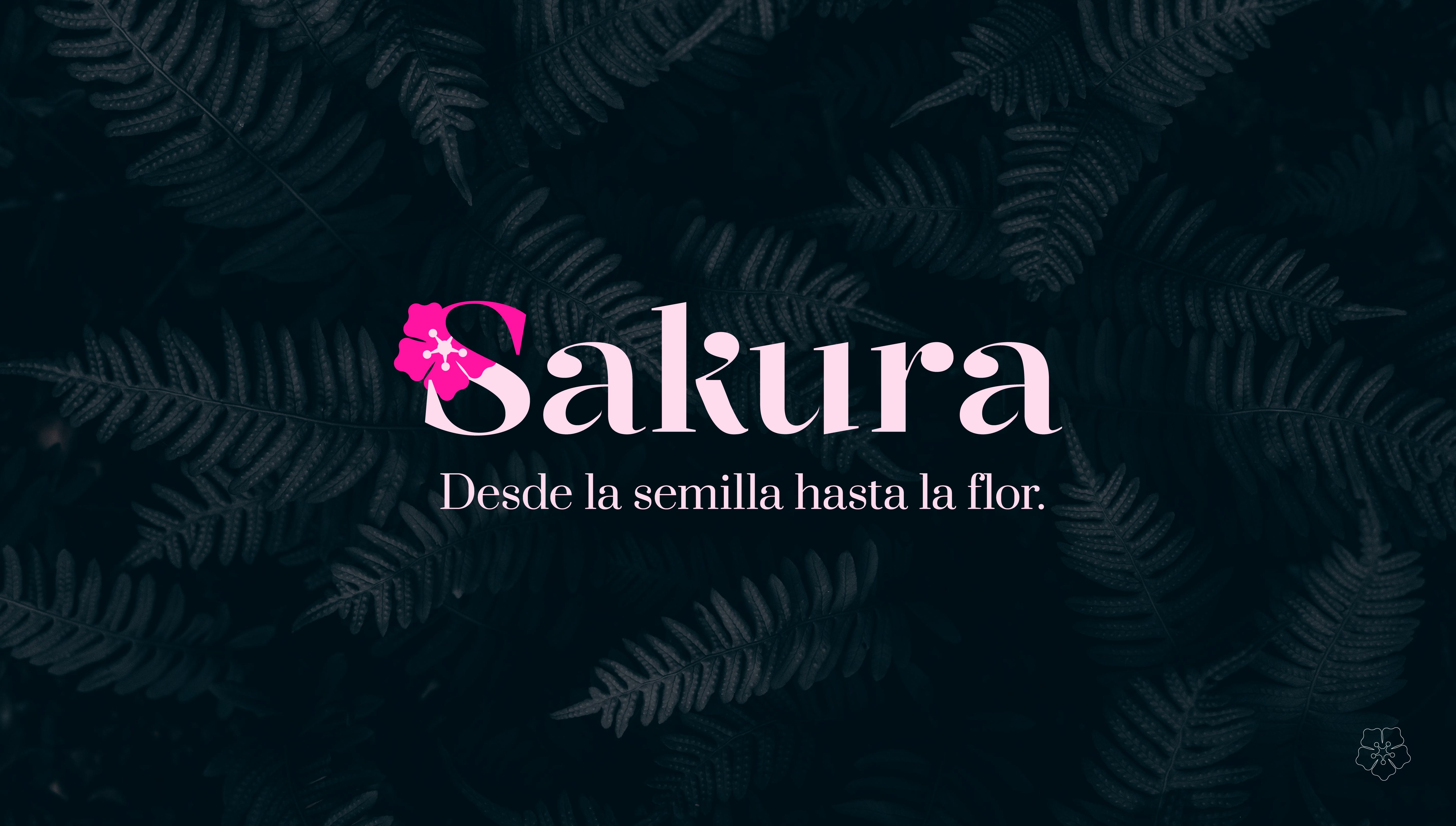 project_img sakura